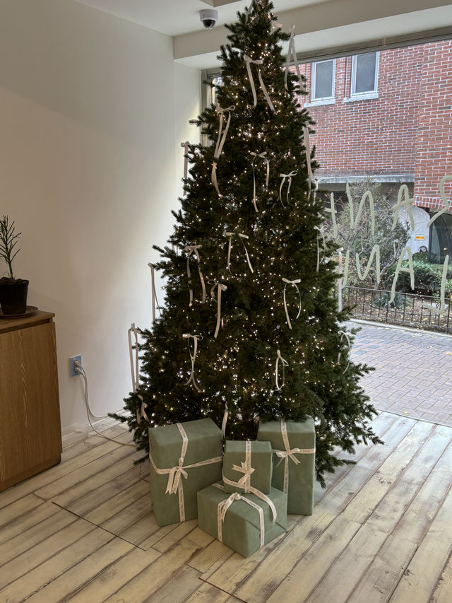 겨울 감성 가득한 카페 대구[프랭크]🎄