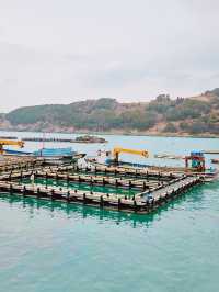 멋진 배를 타고 하는 국내 여행🚢