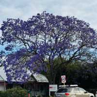 Perth 6 Days Itinerary