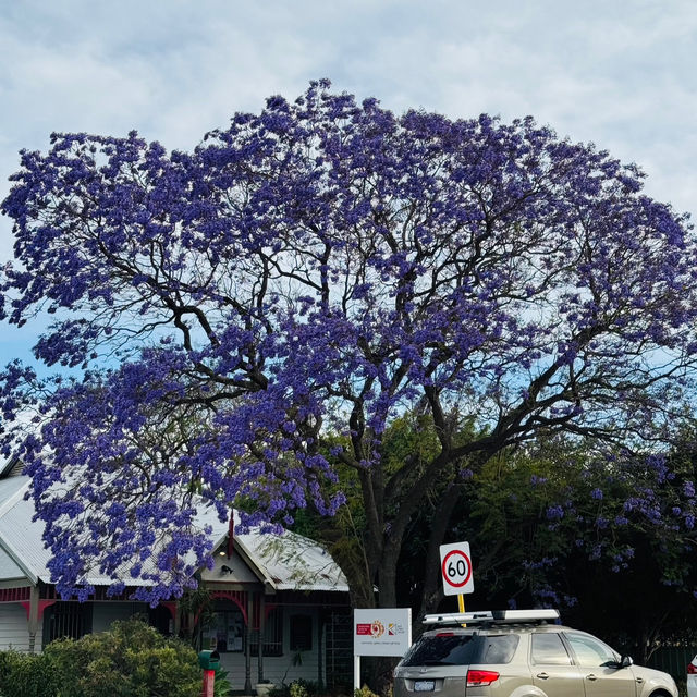 Perth 6 Days Itinerary