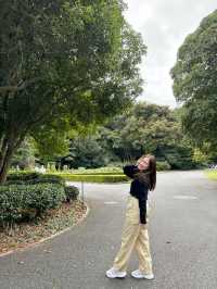Shinjuku Gyoen National Garden สวนที่ควรมา