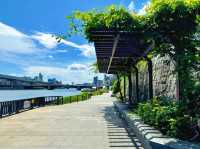 隅田公園：東京行程中的悠然綠洲與水岸之趣