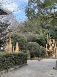 The Incredible Atsuta Jingu Shrine, Nagoya’s historical gem 🏰 🇯🇵 🏯🗾