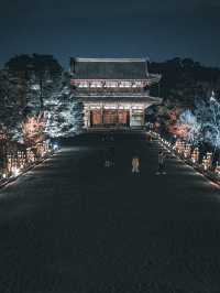 ✨ 秋の仁和寺ライトアップで幻想的なひとときを ✨