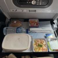 Experience flying All Nippon Airways
