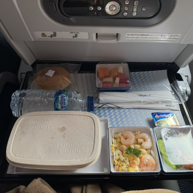 Experience flying All Nippon Airways