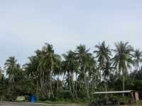 Where Wishes Meet the Sea: Pantai Redang Sekinchan