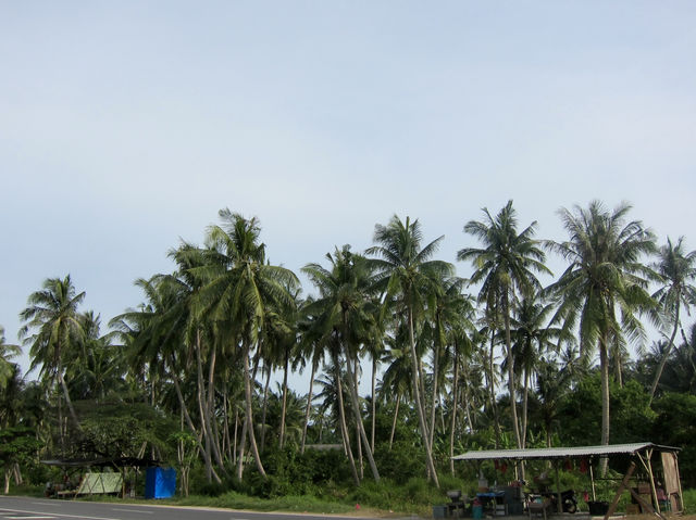 Where Wishes Meet the Sea: Pantai Redang Sekinchan
