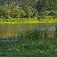 Favor Field สวนผึ้ง