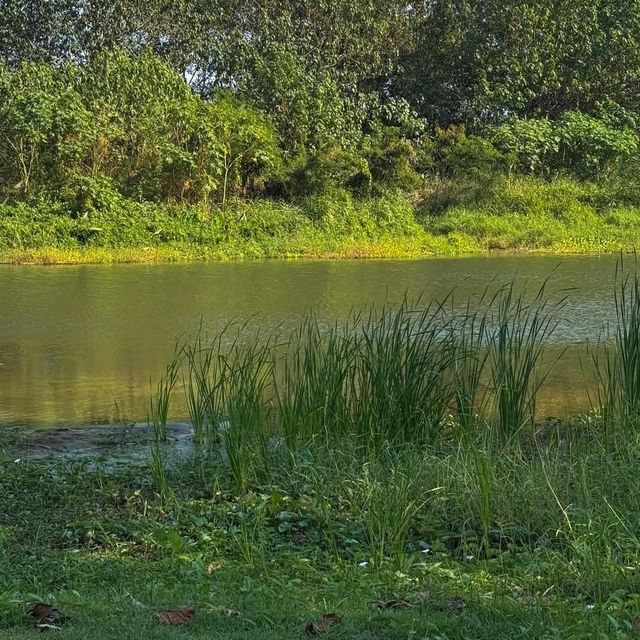 Favor Field สวนผึ้ง