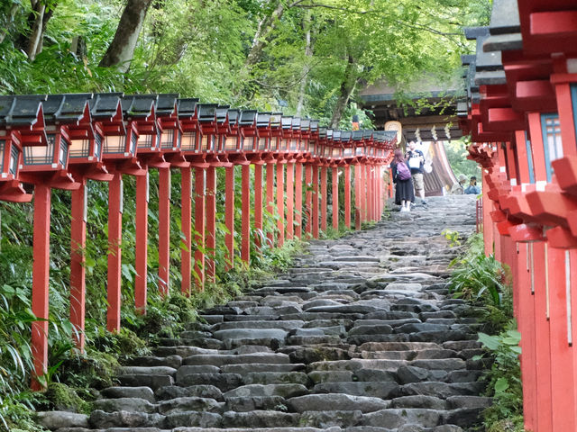 京都🇯🇵隱世之美—貴船神社參訪體驗