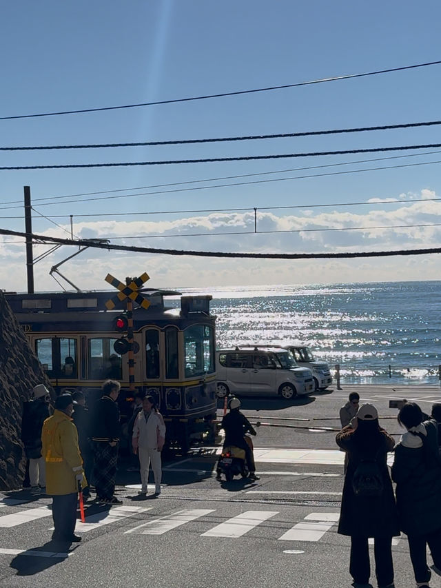 Enoden Train Ride & Train Watching at Kamakura Mae Station