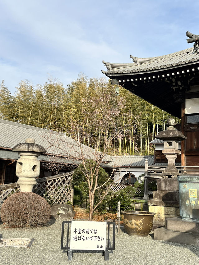 ⛩️ 妙蓮寺（横浜） – 歴史と四季を感じる寺院