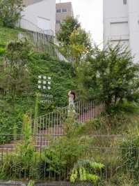 【群馬県/前橋市】宿泊しなくても入れる白井屋ホテルエリア