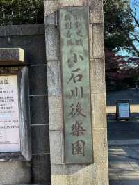 飯田橋「小石川後樂園」賞楓