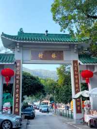 Wishes & Tradition: A Cultural Journey at Lam Tsuen Wishing Tree