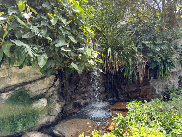 情人節的浪漫之旅 - 長江公園💖