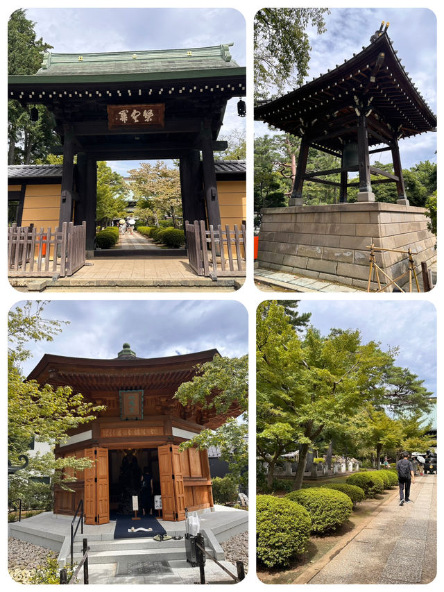 尋找東京🇯🇵招財貓🐱之旅 (二)
