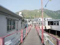 Venice of Hong Kong: A Journey Through Tai O Fishing Village