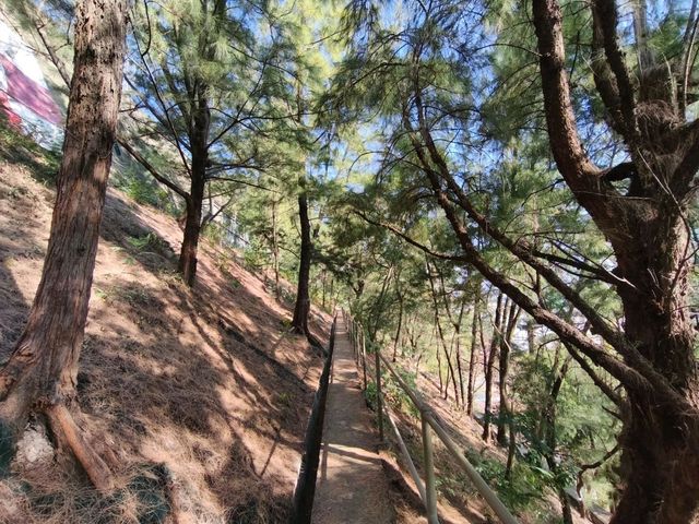 水庫公園對上的小小格仔山丘