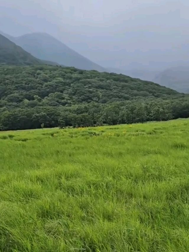 ■タデ原湿原