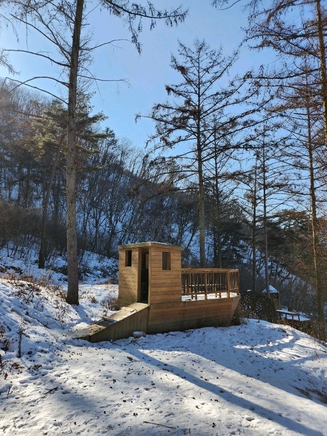 다양한 동물들을 만날 수 있는 천국 해피초원목장💙