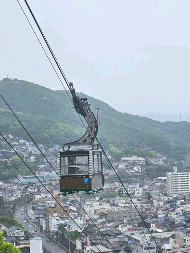 ■猫好きには嬉しいスポット