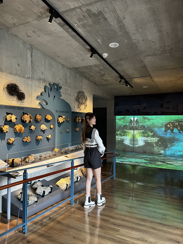台南室內景點～下雨天好去處！
