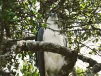 A Full-Day Safari in Yala National Park