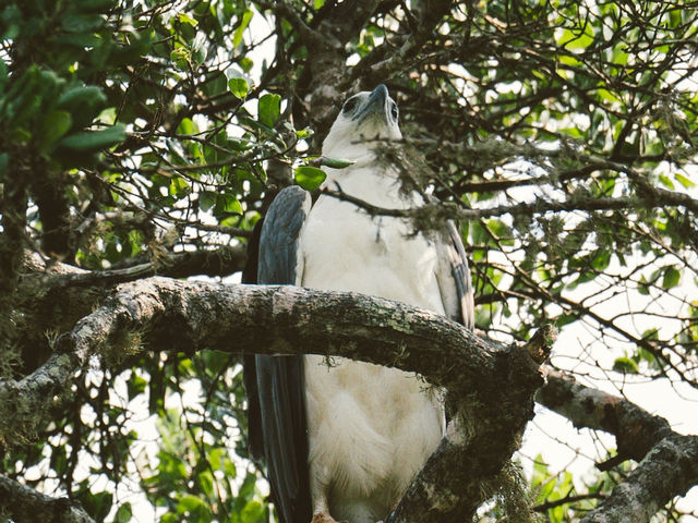 A Full-Day Safari in Yala National Park
