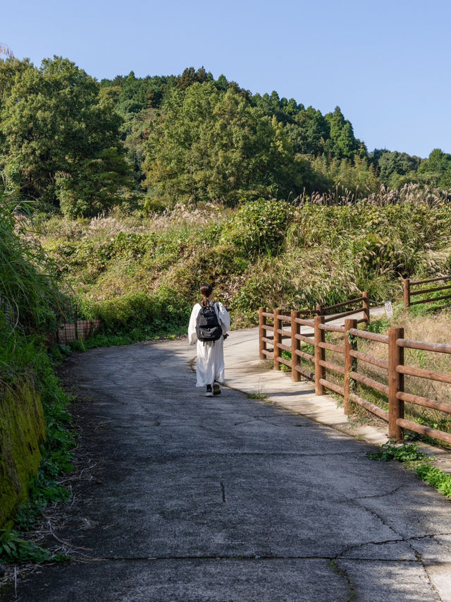 【大分県/由布市】自然の生んだ絶景スポット