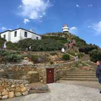 開普角之旅X壯麗美景與歷史探索