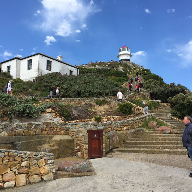 開普角之旅X壯麗美景與歷史探索