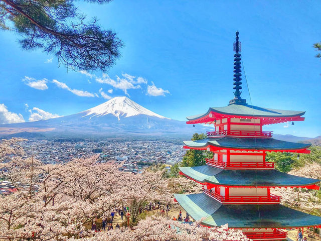 Mt. Fuji in a Day: Cherry Blossoms and Scenic Views