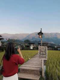 สุขใจ