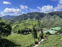 Malaysia’s Highland GEM!!!