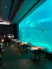 A Unique Dining Experience at Aquadining by Cebu Ocean Park