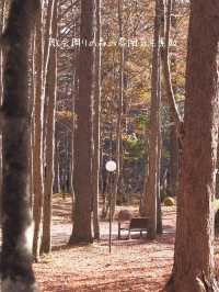 軽井沢　1日観光プラン