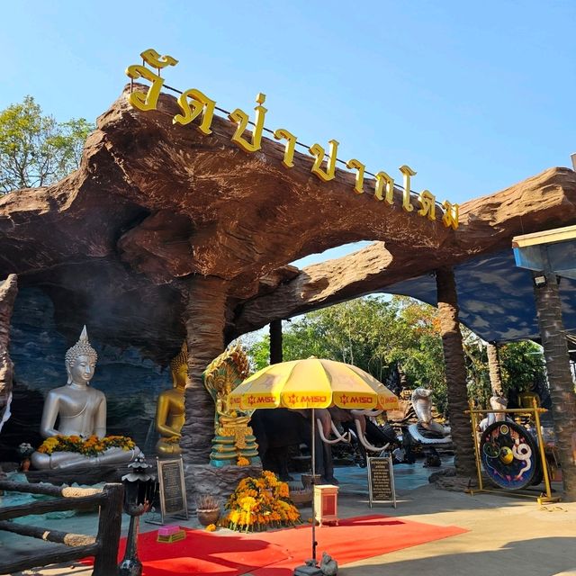 ชมบารมีองค์พญานาคราช ที่วัดป่าปากโดม