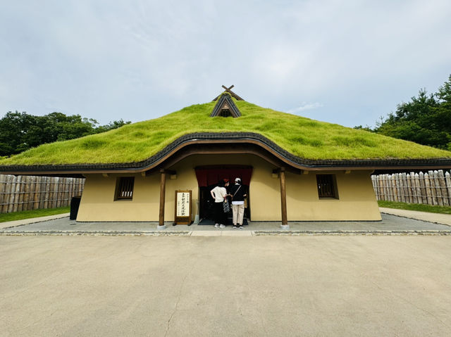 名古屋八天遊