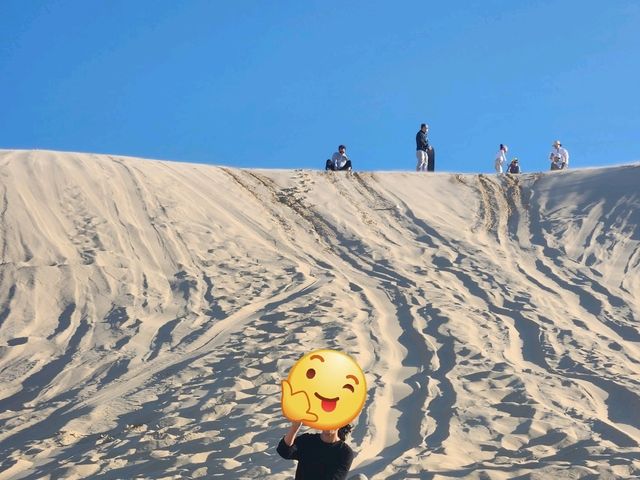 시드니 포트스테판 사막체험