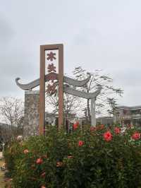 珠海木頭沖村鶴道花海——周末郊遊好去處