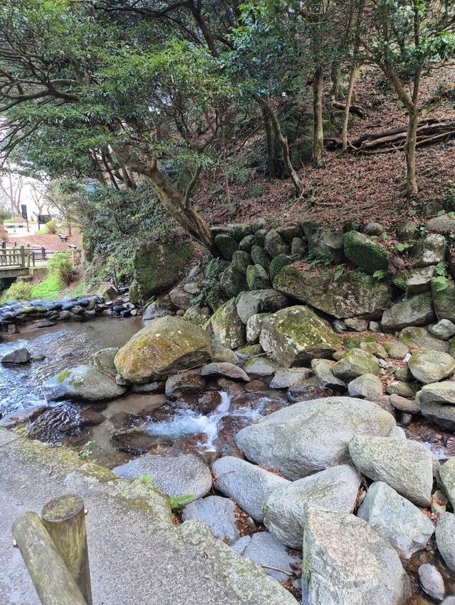 Shiraito Falls Japan 🏞