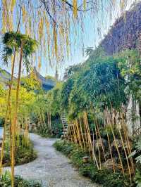 Jin Yong Academy: A Literary Sanctuary