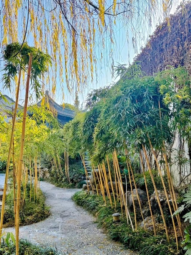 Jin Yong Academy: A Literary Sanctuary
