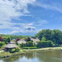 【日本山梨】忍野八海🏔️｜付費進入園區相當值得 
