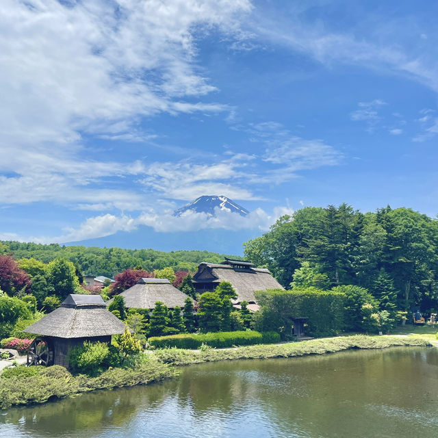 【日本山梨】忍野八海🏔️｜付費進入園區相當值得 