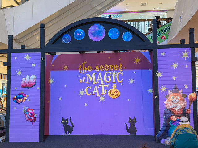 🐱✨ The Secret Magic Cat