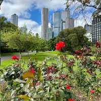 Stroll Through Flagstaff Gardens