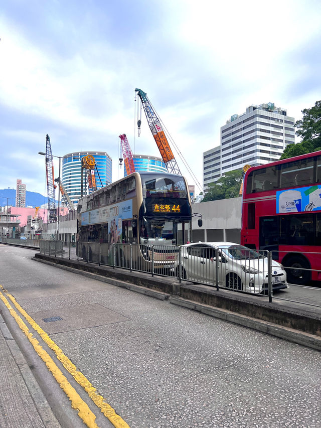 ［香港旅遊］通菜街🧺、花園街🌸、金魚街🐟-最具港風的市井街道🇭🇰體驗香港的人間煙火💯